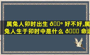 属兔人卯时出生 🐺 好不好,属兔人生于卯时中是什么 🐛 命运
